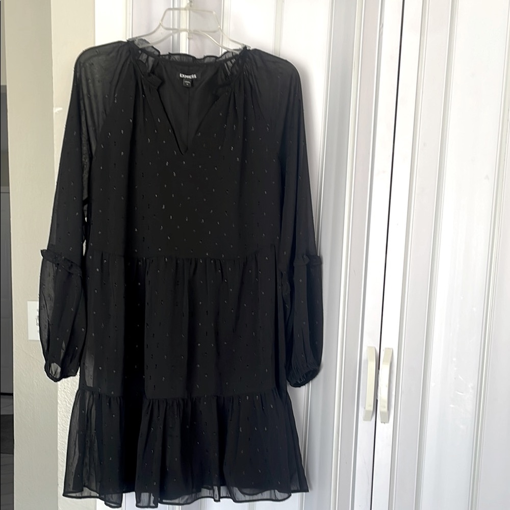 Express m Black Sheer  Sleeve Dress sparkles little bit